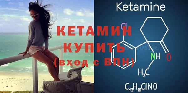 сатива Абинск
