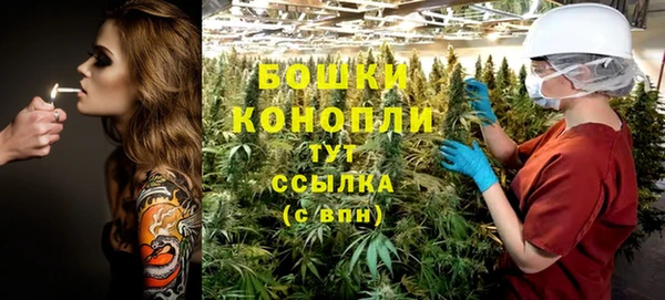 сатива Абинск