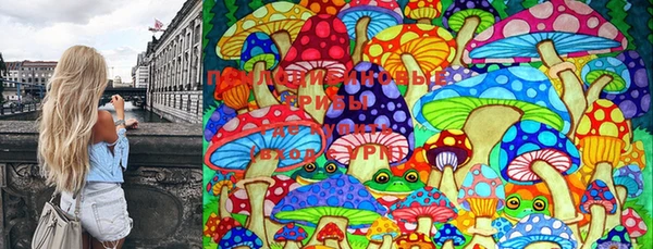 мдпв Абдулино