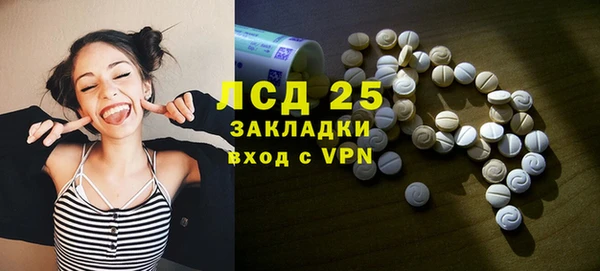 сатива Абинск